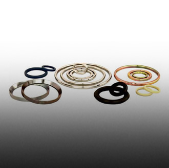 Ring Type Joint Gasket